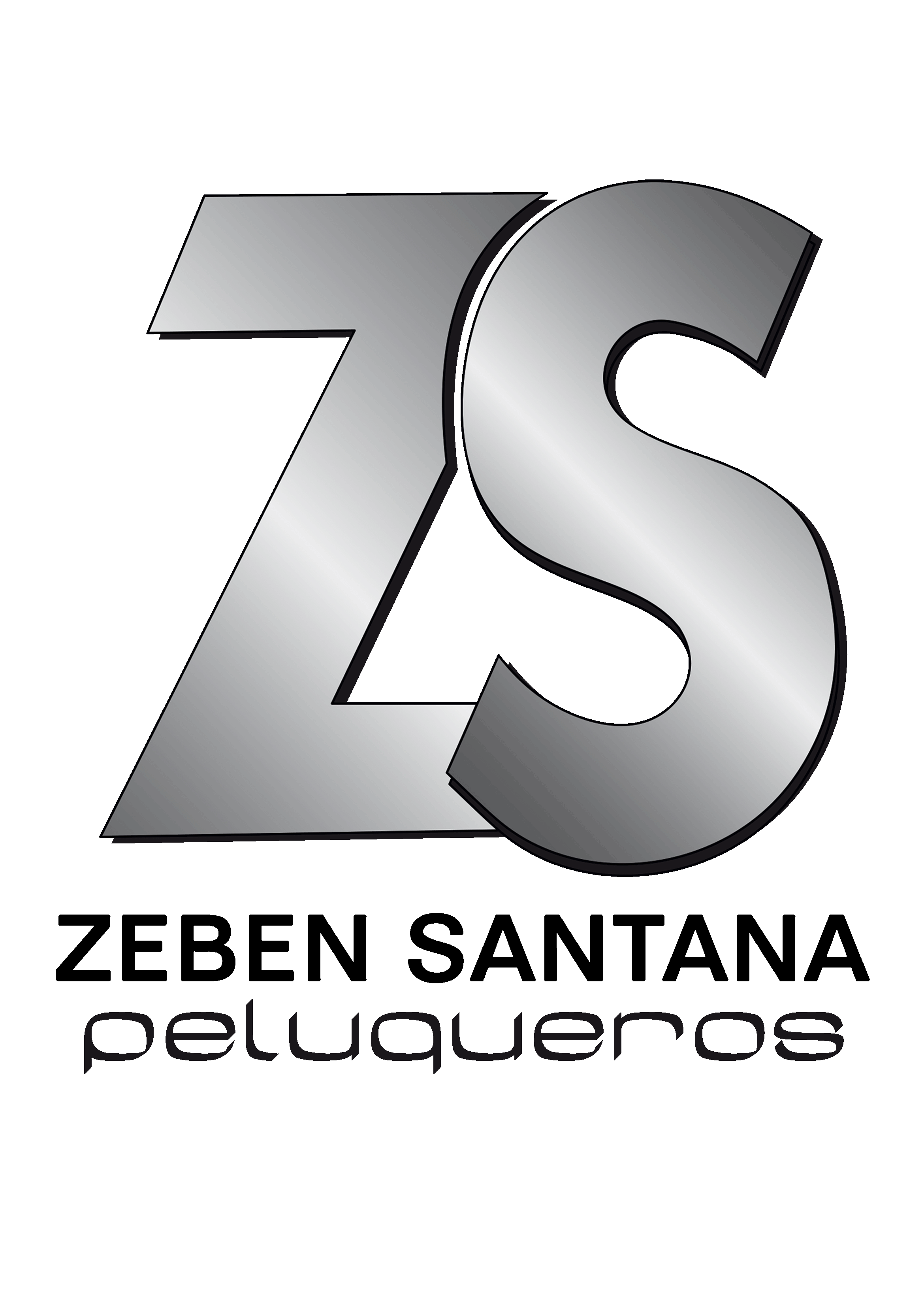 Logo zs